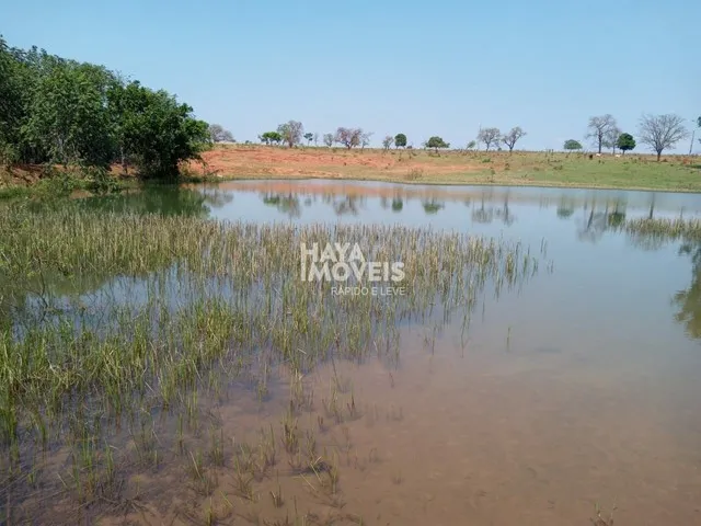 Imagem 7: Fazenda À Venda, Rural, Aparecida do Taboado, Ms