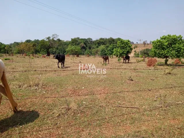 Imagem 8: Fazenda À Venda, Rural, Aparecida do Taboado, Ms