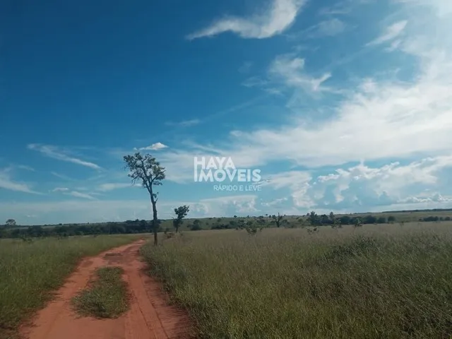 Imagem 9: Fazenda À Venda, Rural, Aparecida do Taboado, Ms