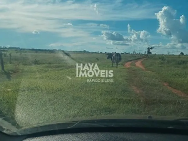 Imagem 13: Fazenda À Venda, Rural, Aparecida do Taboado, Ms