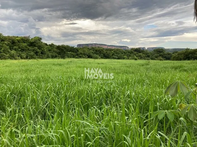 Imagem 2: Fazenda À Venda, Rural, Rio Verde de Mato Grosso, Ms