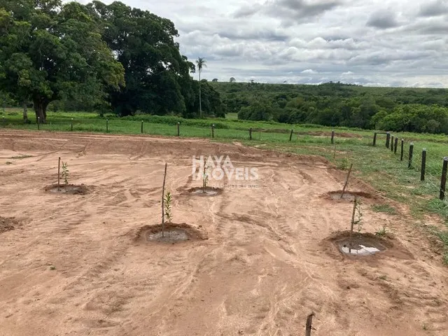Imagem 4: Fazenda À Venda, Rural, Rio Verde de Mato Grosso, Ms