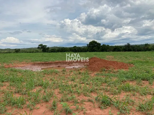 Imagem 6: Fazenda À Venda, Rural, Rio Verde de Mato Grosso, Ms