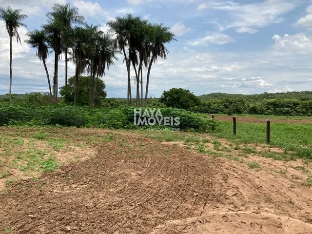 Imagem 7: Fazenda À Venda, Rural, Rio Verde de Mato Grosso, Ms