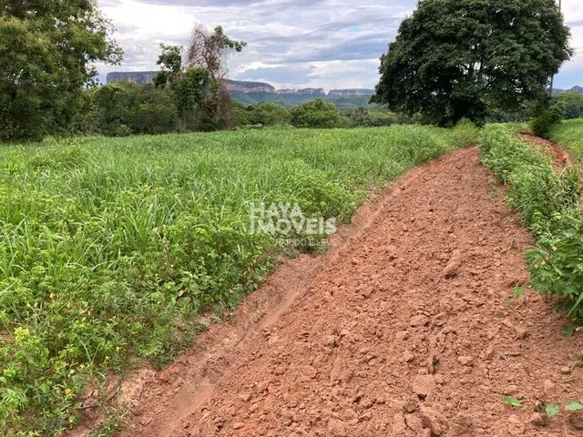 Imagem 8: Fazenda À Venda, Rural, Rio Verde de Mato Grosso, Ms