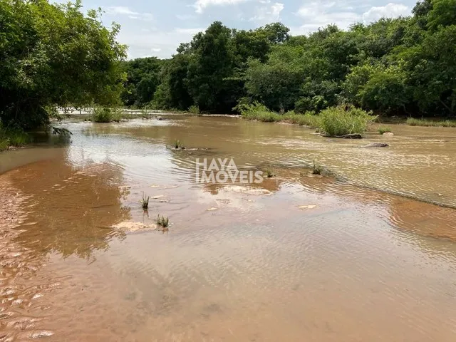 Imagem 9: Fazenda À Venda, Rural, Rio Verde de Mato Grosso, Ms
