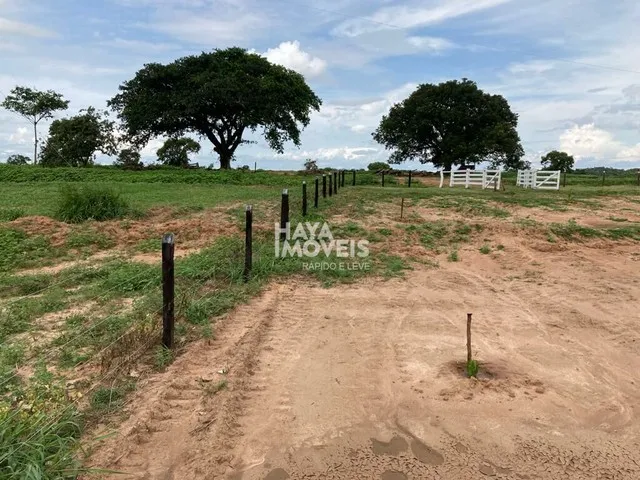 Imagem 10: Fazenda À Venda, Rural, Rio Verde de Mato Grosso, Ms