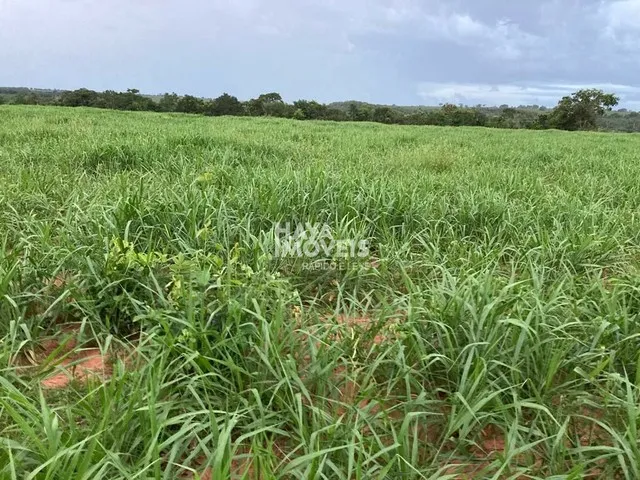 Imagem 12: Fazenda À Venda, Rural, Rio Verde de Mato Grosso, Ms