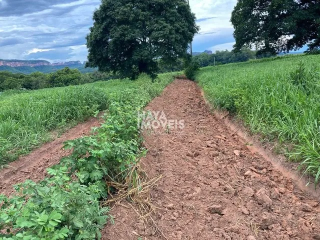 Imagem 13: Fazenda À Venda, Rural, Rio Verde de Mato Grosso, Ms