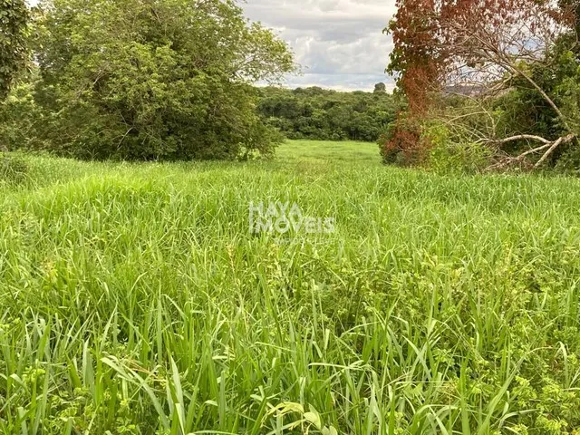Imagem 14: Fazenda À Venda, Rural, Rio Verde de Mato Grosso, Ms