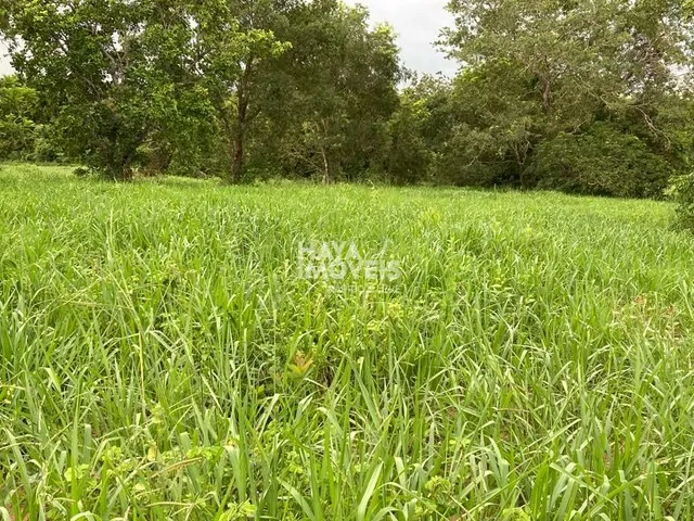 Imagem 15: Fazenda À Venda, Rural, Rio Verde de Mato Grosso, Ms