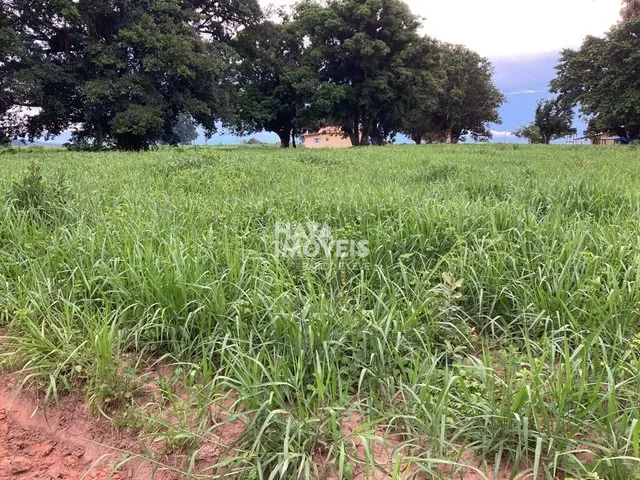 Imagem 16: Fazenda À Venda, Rural, Rio Verde de Mato Grosso, Ms
