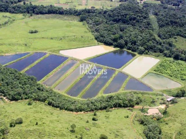 Imagem: Fazenda À Venda, Área Rural de Curitiba