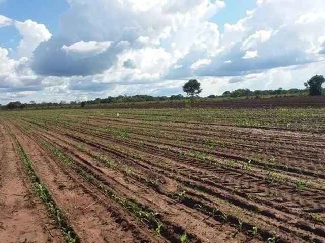 Imagem: Fazenda/Sítio/Chácara para Venda Tem 2700000