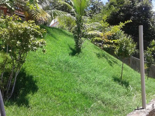 Imagem 2: Excelente Sítio de 3 Quartos À Venda, Próximo a Uma Imensa Área de Preservação