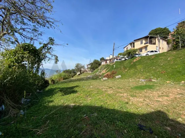 Imagem 6: Terreno À Venda, Capoeiras, Florianópolis, Sc