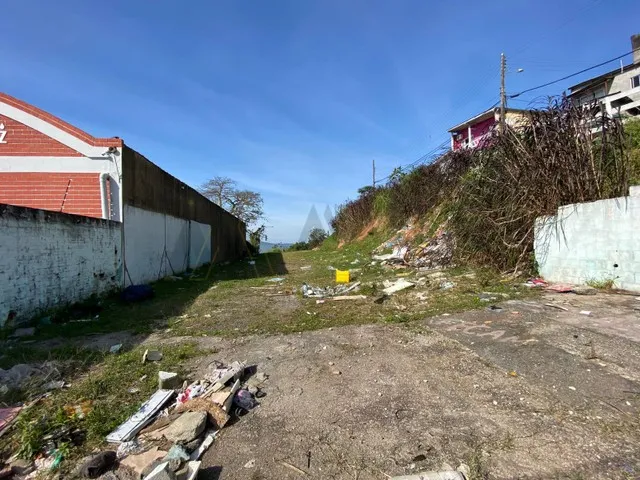 Imagem 8: Terreno À Venda, Capoeiras, Florianópolis, Sc