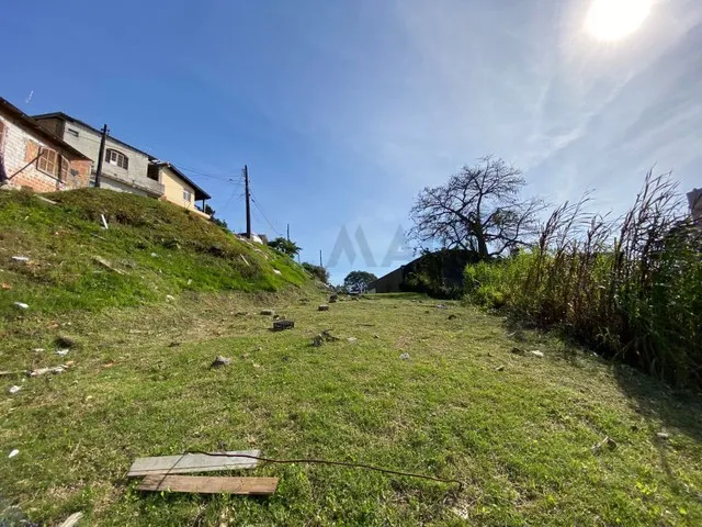 Imagem 11: Terreno À Venda, Capoeiras, Florianópolis, Sc