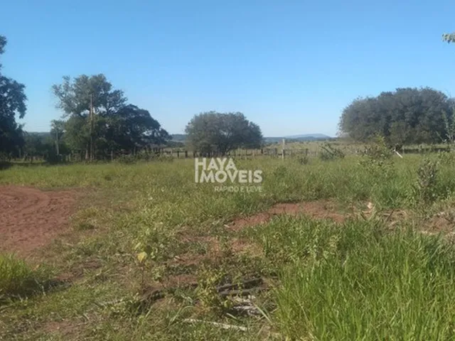 Imagem 3: Fazenda À Venda, Rural, Rochedo, Ms