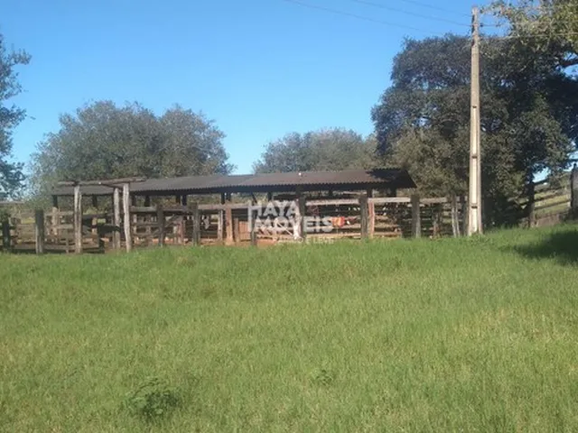 Imagem 6: Fazenda À Venda, Rural, Rochedo, Ms