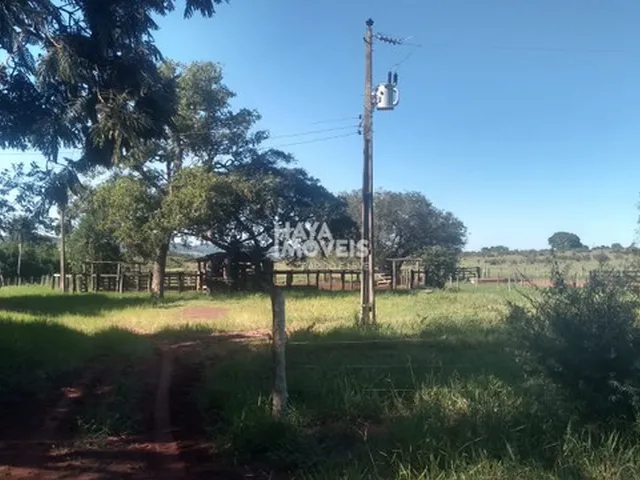 Imagem 8: Fazenda À Venda, Rural, Rochedo, Ms