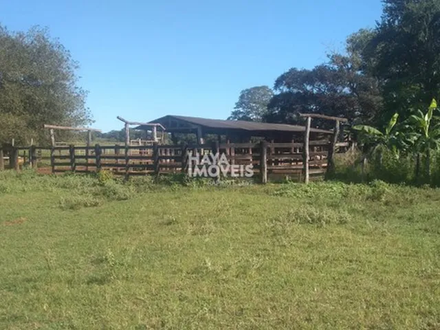 Imagem 11: Fazenda À Venda, Rural, Rochedo, Ms