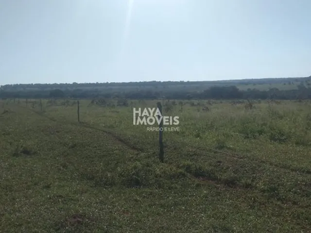 Imagem 12: Fazenda À Venda, Rural, Rochedo, Ms