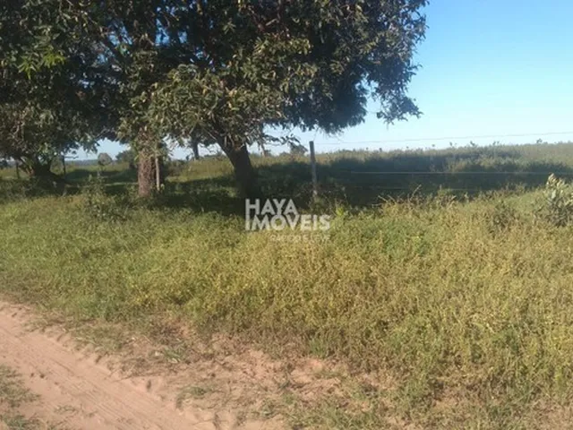 Imagem 13: Fazenda À Venda, Rural, Rochedo, Ms