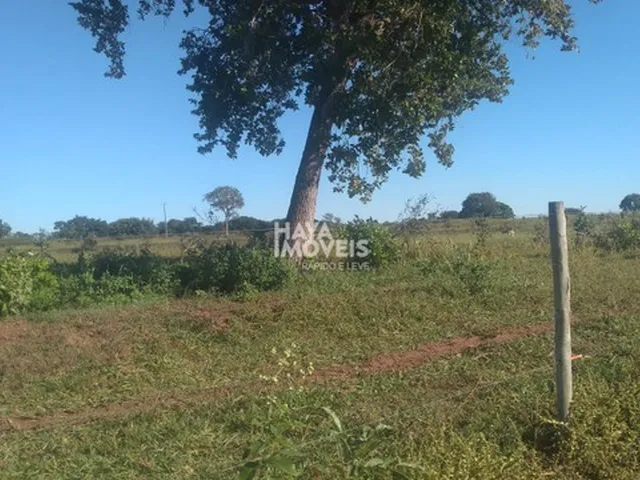 Imagem 14: Fazenda À Venda, Rural, Rochedo, Ms