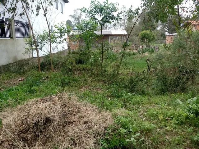 Imagem 2: .