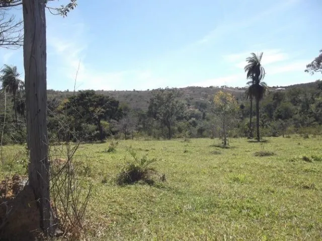 Imagem: Fazenda Sem Sede de 82Ha,Nascente e Córrego