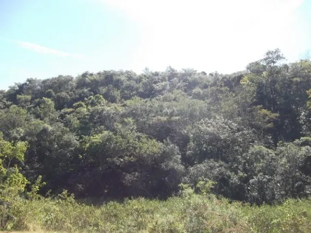 Imagem 2: Fazenda Sem Sede de 82Ha,Nascente e Córrego nos Fundos,Jaboticatubas(Temos Varias