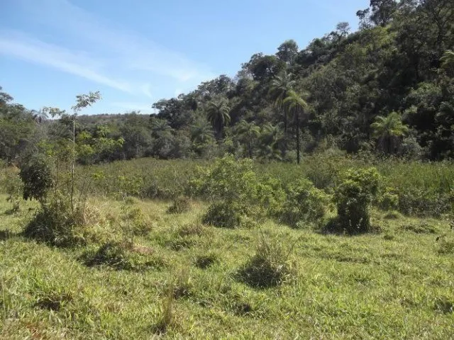 Imagem 4: Fazenda Sem Sede de 82Ha,Nascente e Córrego nos Fundos,Jaboticatubas(Temos Varias