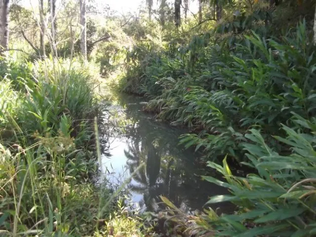 Imagem 9: Fazenda Sem Sede de 82Ha,Nascente e Córrego nos Fundos,Jaboticatubas(Temos Varias