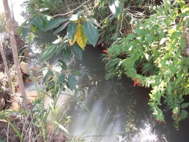 Imagem 3: Fazenda Sem Sede de 82Ha,Nascente e Córrego nos Fundos,Jaboticatubas(Temos Varias