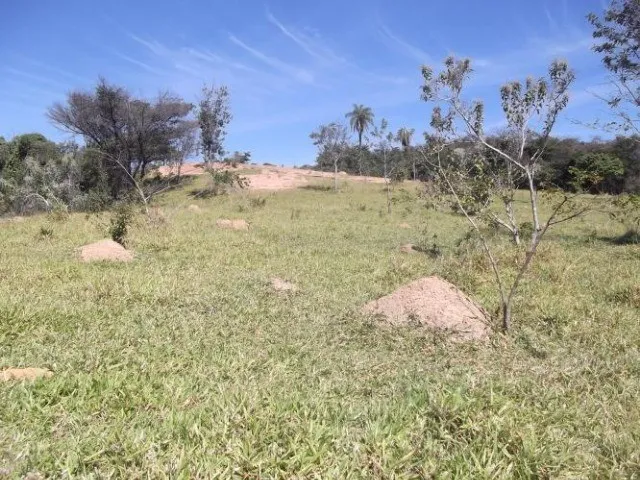 Imagem 5: Fazenda Sem Sede de 82Ha,Nascente e Córrego nos Fundos,Jaboticatubas(Temos Varias