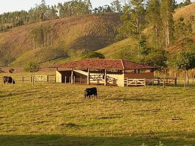 Imagem: Fazenda em Queluz, Interior de São Paulo