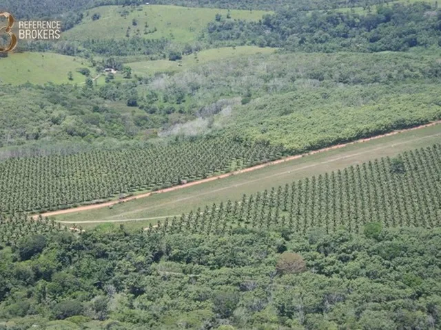 Imagem: Excelente Fazenda com Várias Culturas (Seringueira