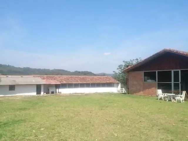 Imagem: Fazenda À Venda, Reflorestamento e Gado