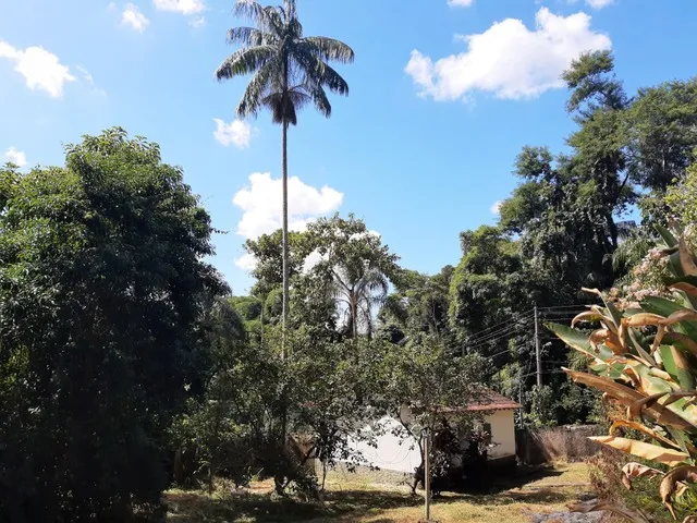 Imagem 10: Chácara de 2.700 M², 5 Quartos (1 Suíte) na Casa Sede, Casa de Caseiro, À Venda, Em
