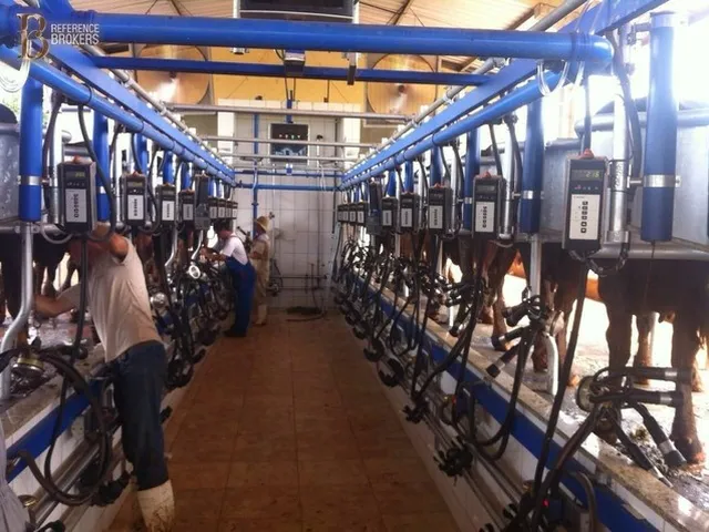 Imagem: Oportunidade! Fazenda Leiteira em Mg com