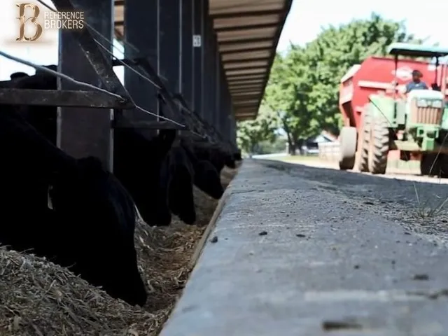 Imagem: Fazenda Dupla Aptidão, Porteira Fechada