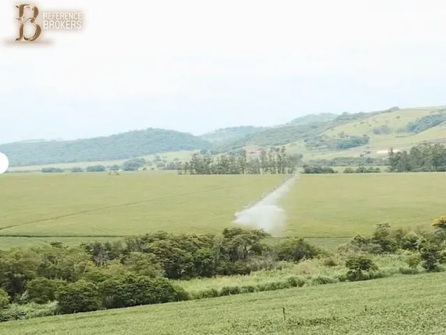 Imagem 4: Fazenda Dupla Aptidão , Porteira Fechada - Cornélio Procópio - Pr