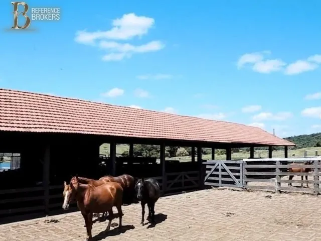Imagem 8: Fazenda Dupla Aptidão , Porteira Fechada - Cornélio Procópio - Pr