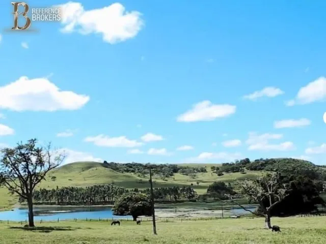 Imagem 10: Fazenda Dupla Aptidão , Porteira Fechada - Cornélio Procópio - Pr