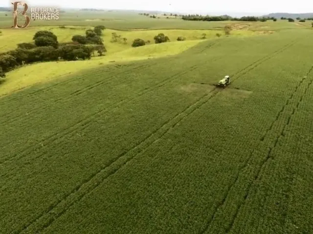 Imagem 11: Fazenda Dupla Aptidão , Porteira Fechada - Cornélio Procópio - Pr