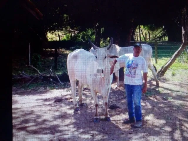 Imagem: Fazenda À Venda, M² por R$ 2.900.000,00
