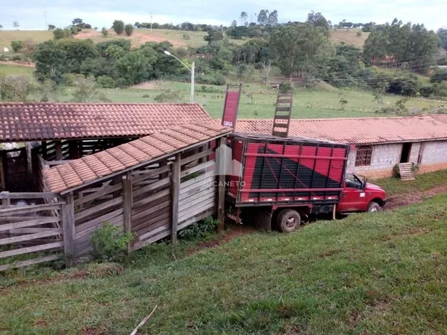Imagem 9: Fazenda À Venda, M² por R$ 2.900.000,00 - Roseta - Cambuí/Mg