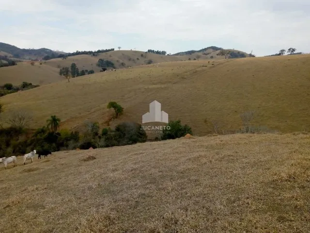 Imagem 10: Fazenda À Venda, M² por R$ 2.900.000,00 - Roseta - Cambuí/Mg