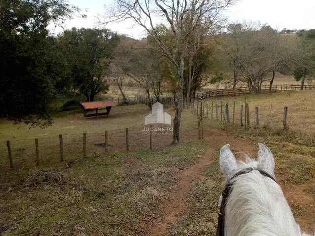 Imagem 11: Fazenda À Venda, M² por R$ 2.900.000,00 - Roseta - Cambuí/Mg